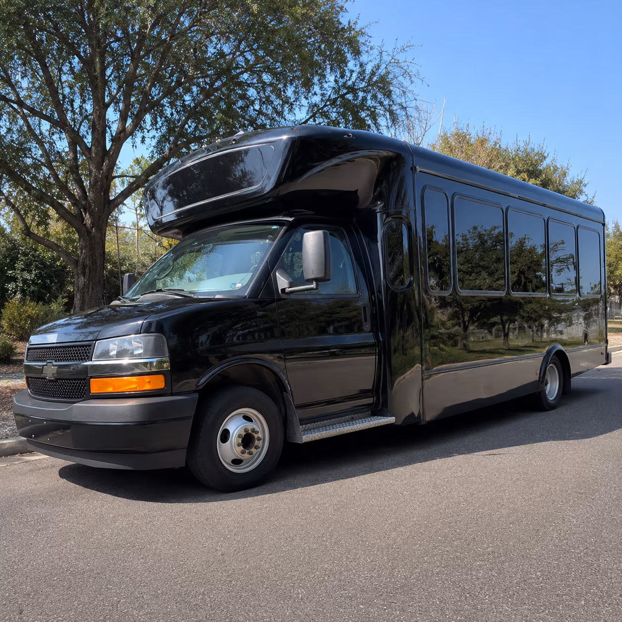 Santa Ana Birthday Transportation