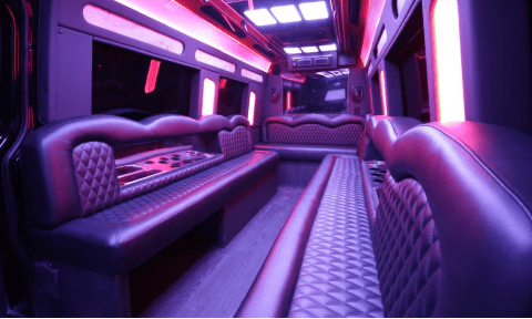 Riverside 14 Passenger Sprinter Bus Interior